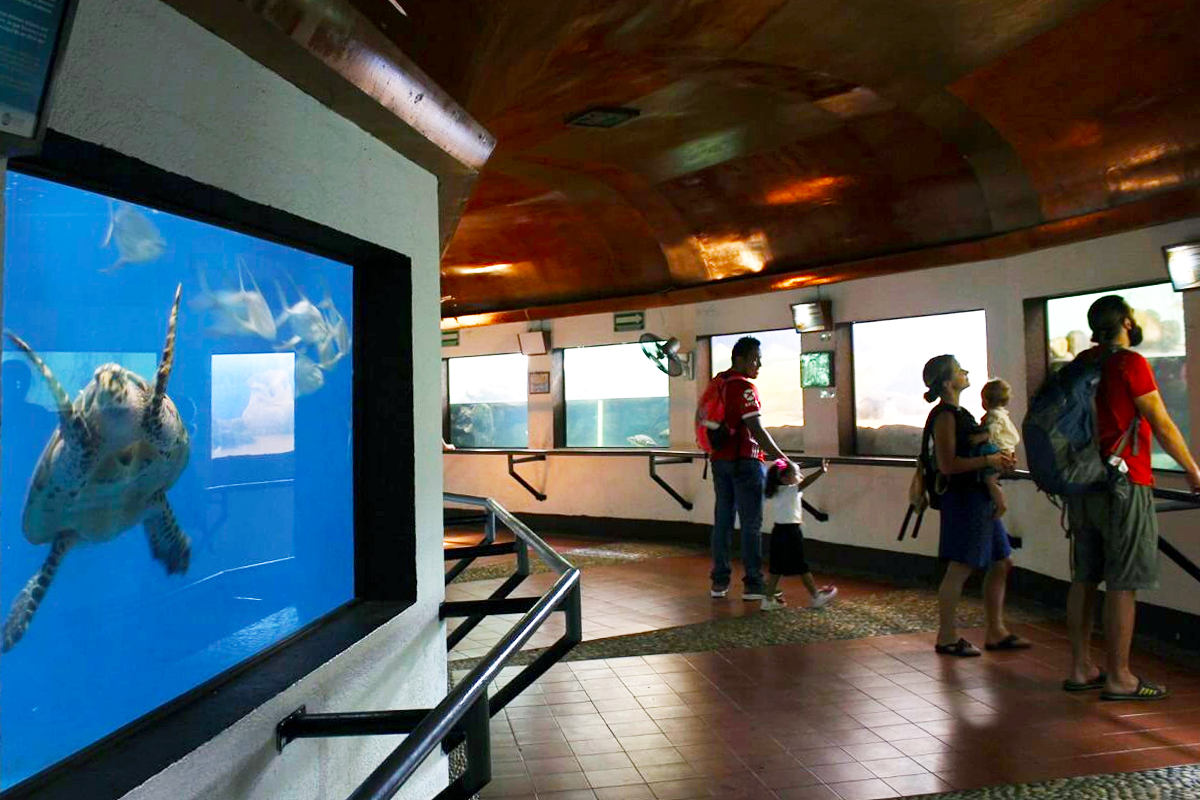 Centro Mexicano de la Tortuga, vista exterior