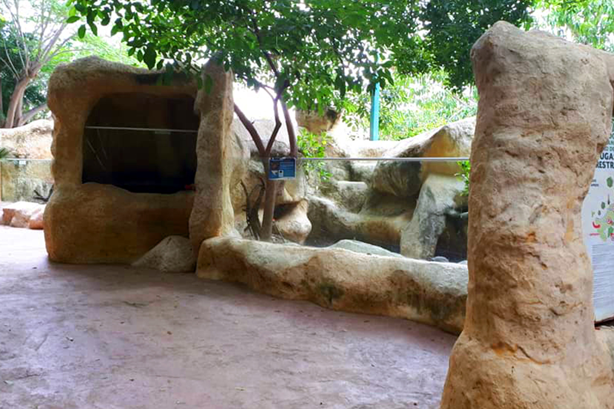 Centro Mexicano de la Tortuga, detalle arquitectonico